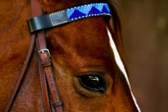 Beaded-Browband-Design-A-001