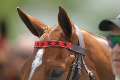 Beaded-Browband-Design-D-010