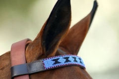Beaded-Browband-Design-D-021