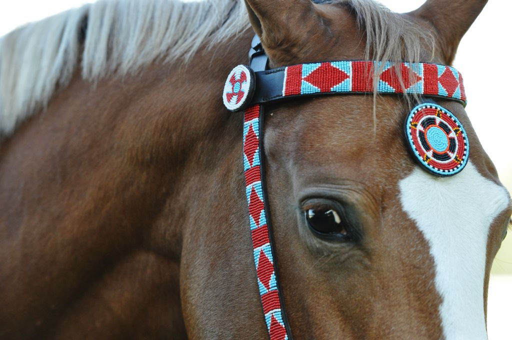Beaded Bridle With Breast Collar B Masai of Palm Beach