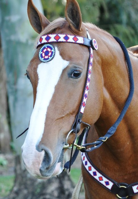 Masai-Beaded-Bridle-and-Breast-Collar-Set-010